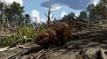 Deux mods HD pour les éléments décoratifs et les mammifères dans Red Dead Redemption 2
