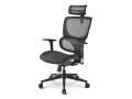 Sharkoon lance ses chaises OfficePal C30 et C30M, de l'ergonomique abordable
