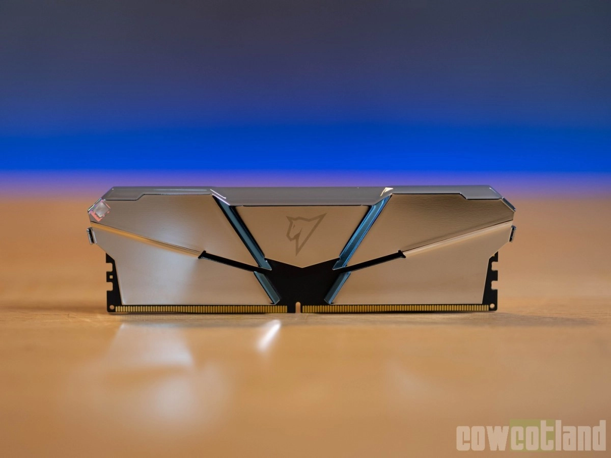 Test m�moire : Netac Shadow RGB 5600 C40, une belle surprise !