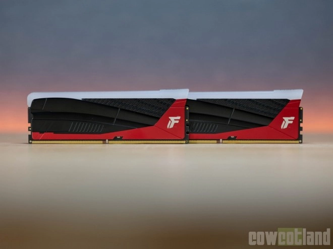 Test m�moire Kingston Fury Renegade DDR5 RGB Limited Edition 2 x 24 Go 8000 MT/s c36