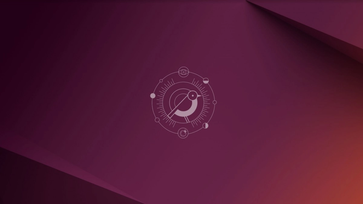 Canonical f�te les 20 ans d'Ubuntu avec Oracular Oriole