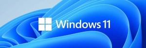 Microsoft applique un bypassnro au bypassnro pour l'installation de Windows 11