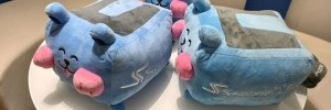 De retour chez Seasonic en bonne compagnie avec la mascotte Watty !!!