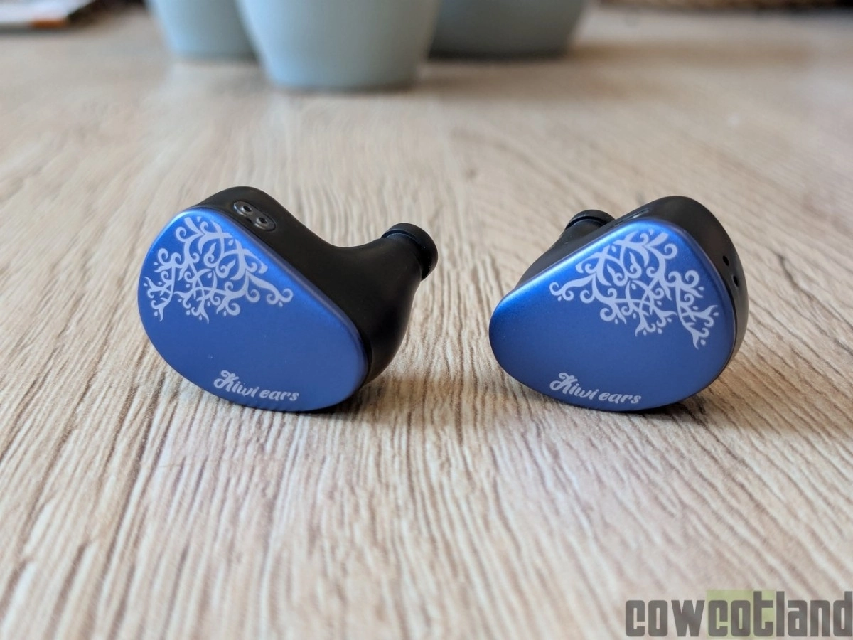 Test Kiwi Ears Cadenza II : Le prix compact et imbattable !