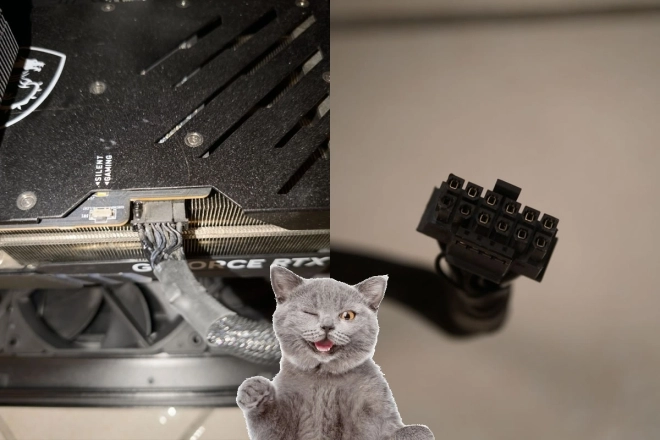D'apr�s, enfin il se dit, que son chat aurait sauv� sa GeForce RTX 4090, si si