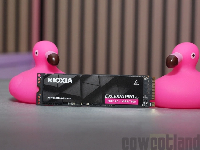 Test SSD KIOXIA EXCERIA PRO G2 : Un monstre de 4 To en PCIe 5.0 d�barque � la Ferme