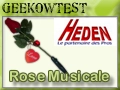 La rose du Geek, pour la Saint Valentin