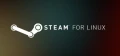 Valve annonce la beta de Steam Play Linux