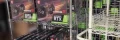 NVIDIA GeForce RTX 3060 : des tarifs aux USA qui dbuteraient  484 dollars