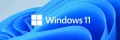 Moins de un pourcent de machines sous Windows 11 ?