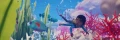 Nouvelle vidéo pour Tchia, qui nous fait rêver avec ses paysages colorés