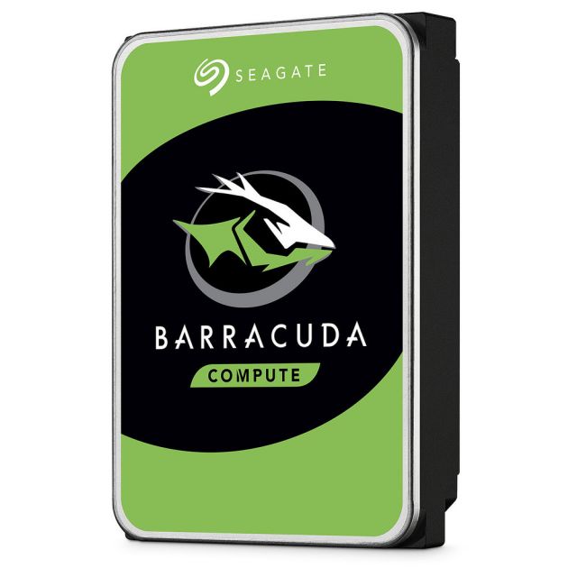 Seagate Barracuda 1 To (B150825)