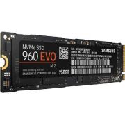 Serie 960 EVO M.2 PCIe NVMe - 250 Go