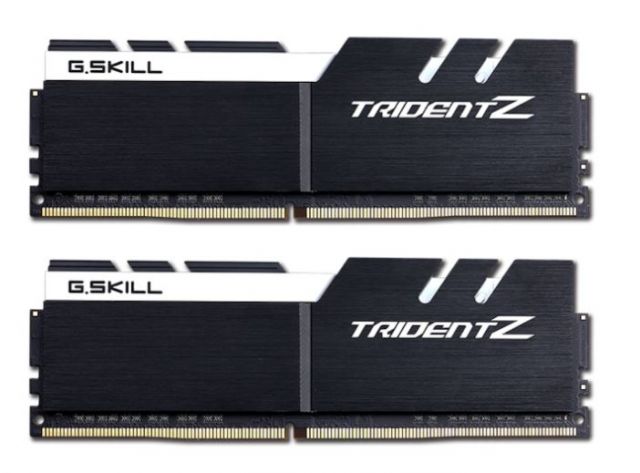 Trident Z 2x16Go DDR4 3600Mhz (F4-3600C17D-32GTZKW)
