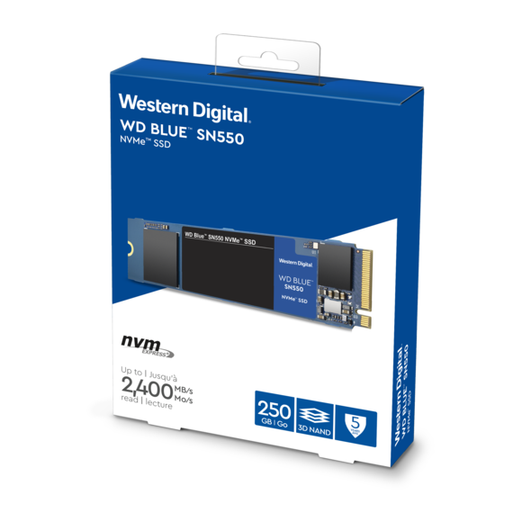 western-digital WD Blue SN550, 250 Go, M.2