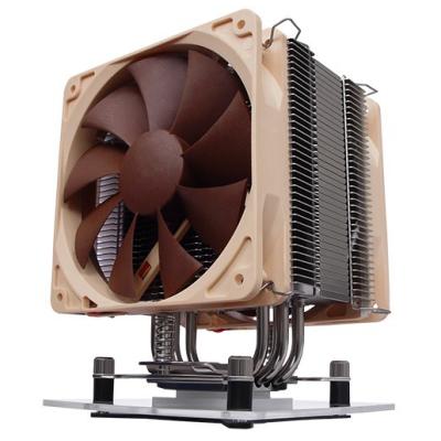 Le Noctua sort en � Edition Sp�ciale �