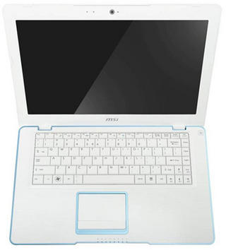 portable MSI X400