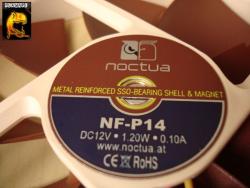 Test Noctua NF-P14 vs NanoXia DX 140 