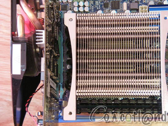 [Cowcotland] Le P********** S***** 1* est arriv� � la Ferme ! Gros miam !