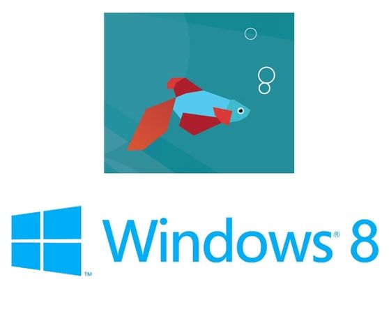 Windows 8 : trois versions pour commencer