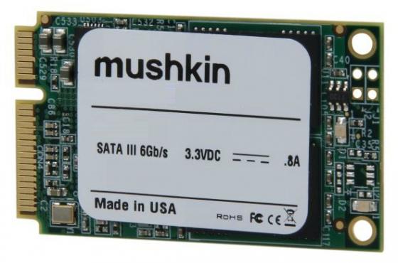 Mushkin place 480 go en mSata