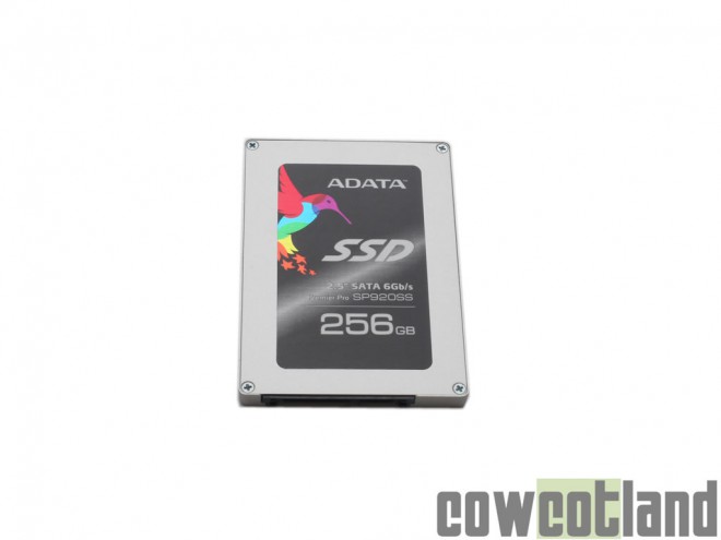 test ssd a-data sp920ss 256 go cowcotland