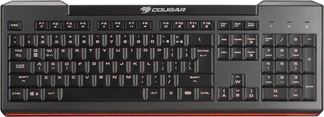 cougar 200k clavier ciseau rgb abordable