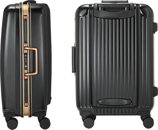 ASUS Suitcase
