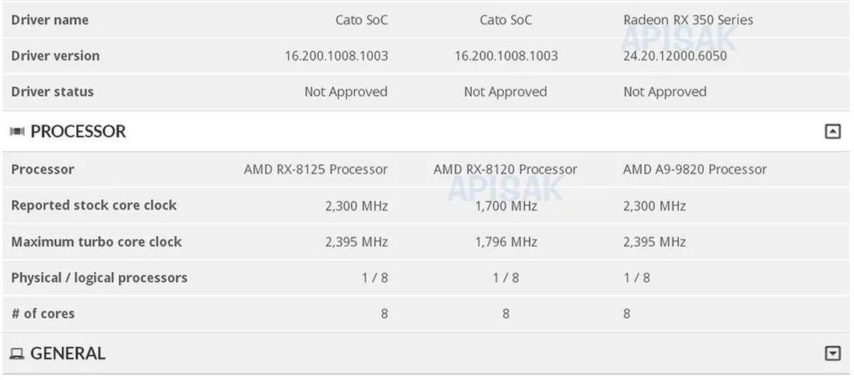 AMD Cato RX-8125 RX-8120 A9-9820 processeurs