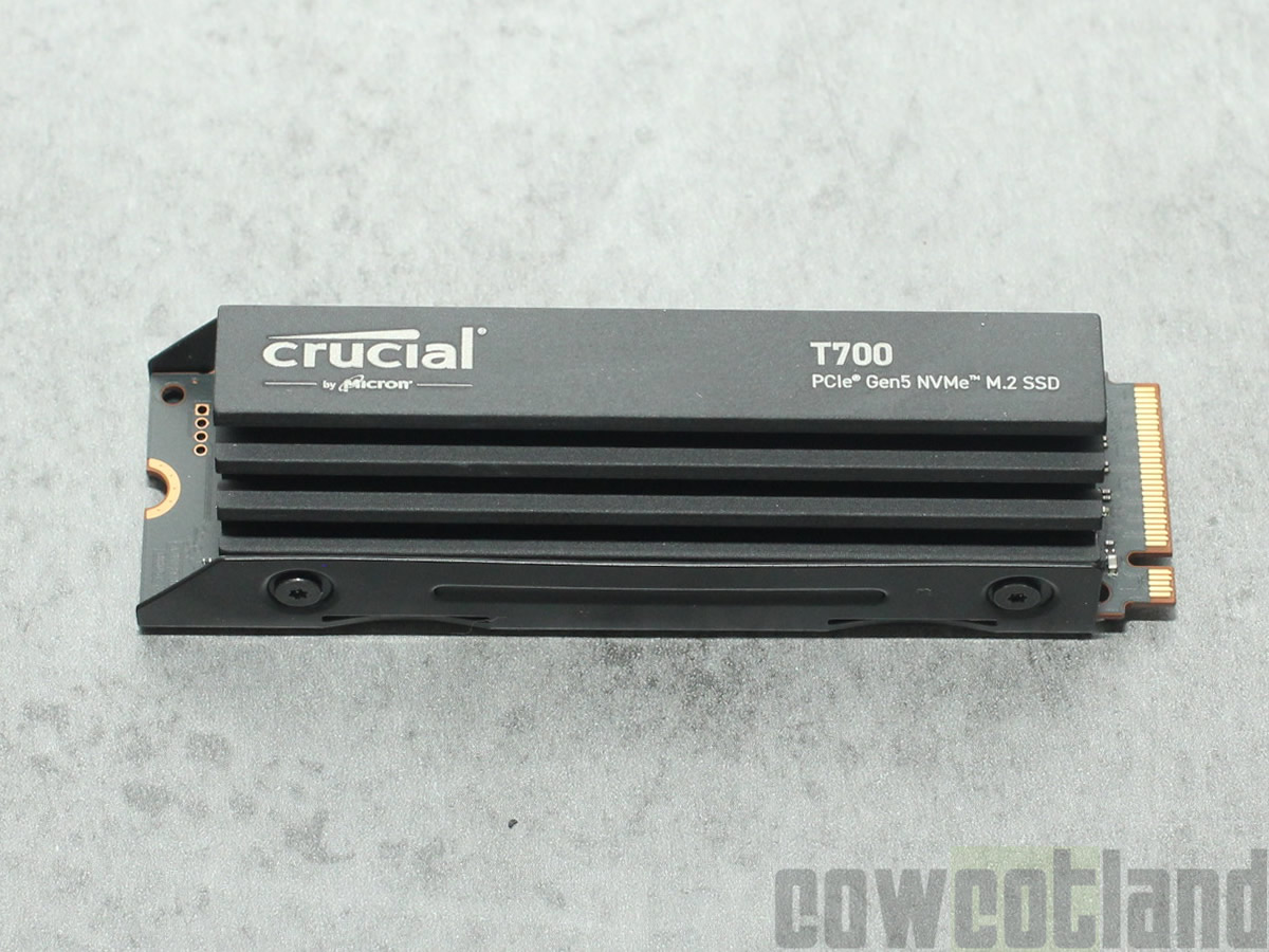 SSD Crucial T700 1 To PCIe Gen5 NVMe M.2 avec dissipateur