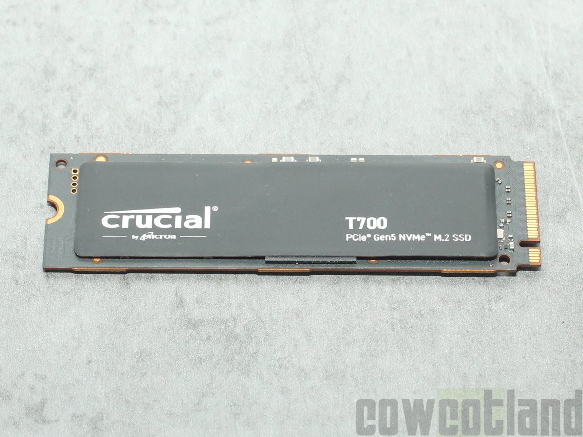 Crucial T700 1 To avec dissipateur - Disque SSD - LDLC