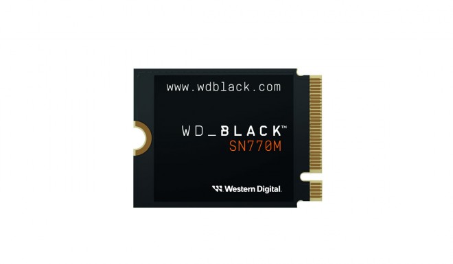 WesternDigital