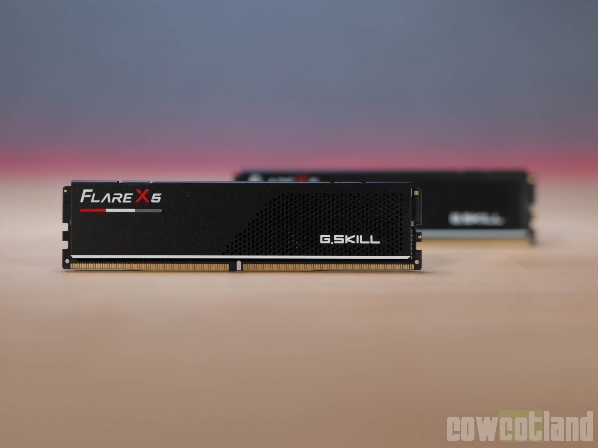 Test RAM : G.SKILL EXPO Flare X5 5600 c36, pourquoi mettre plus cher ?