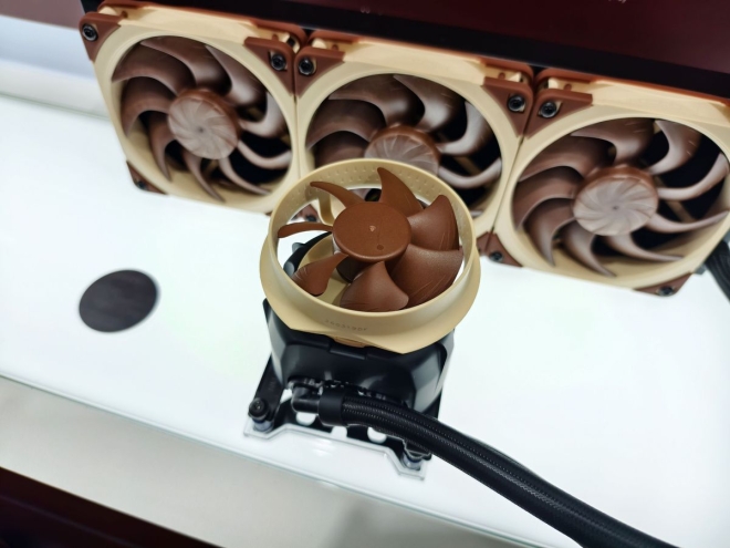 Noctua