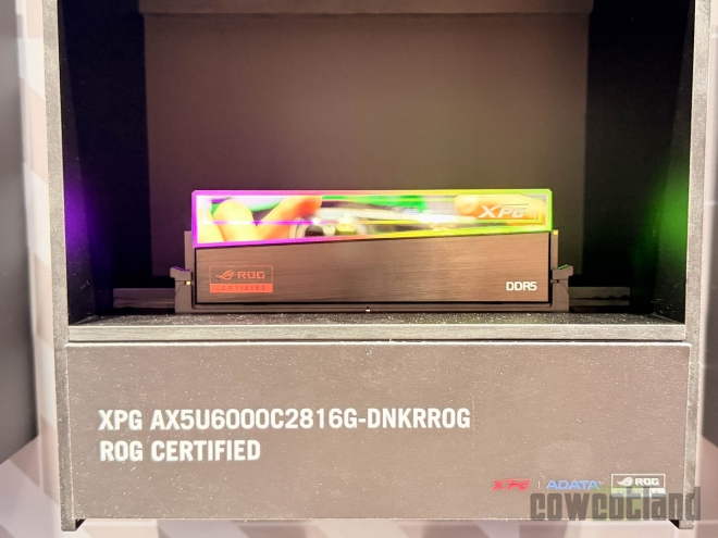ROG Certified Memory