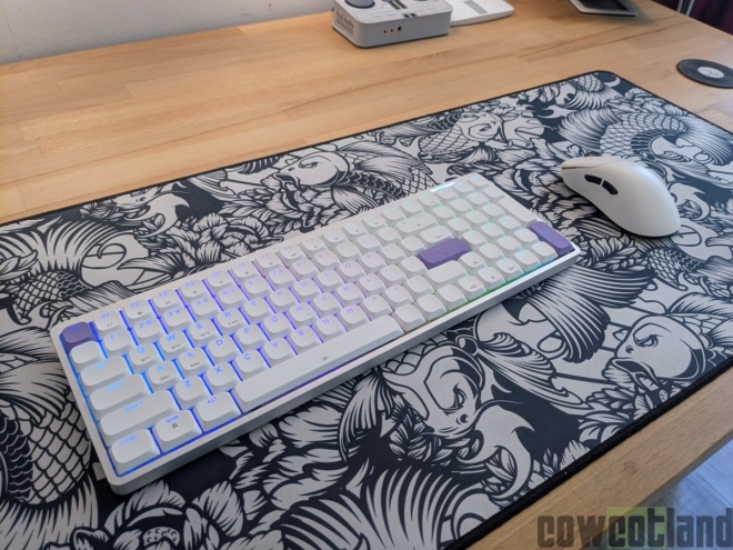 Test clavier Epomaker LUMA100