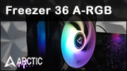 ARCTIC Freezer 36 A-RGB, une star est née