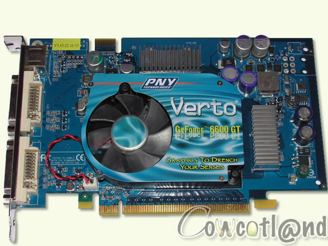 PNY Geforce 6600GT