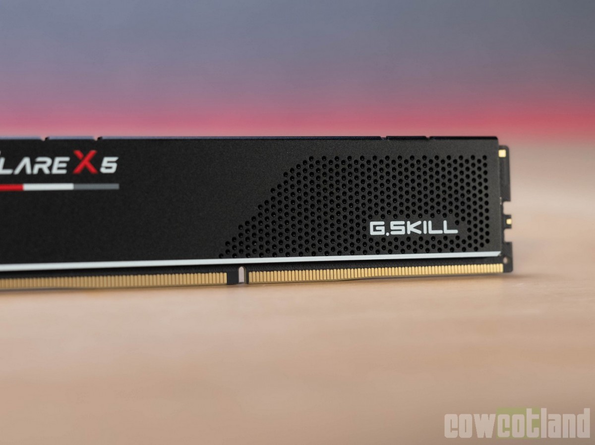 Image 64234, galerie Test RAM : G.SKILL EXPO Flare X5 5600 c36, pourquoi mettre plus cher ? 
