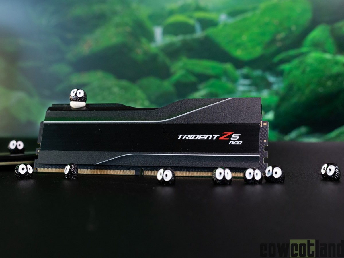 Image 54424, galerie Test kit DDR5 EXPO : G-Skill Trident Z5 Neo 6000 MT/s c30