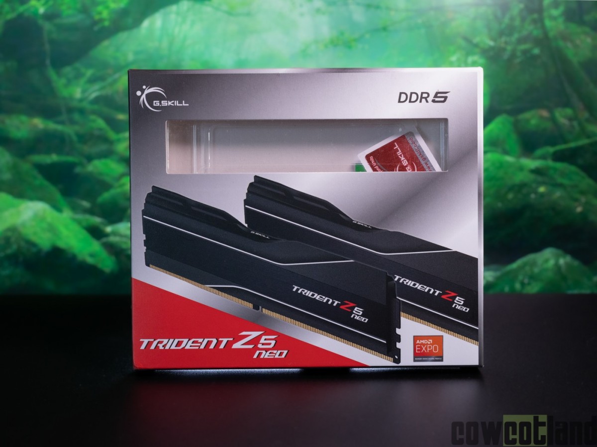 Image 54426, galerie Test kit DDR5 EXPO : G-Skill Trident Z5 Neo 6000 MT/s c30