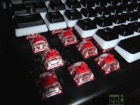 Cliquez pour agrandir Test clavier m�canique HyperX Alloy Elite 2