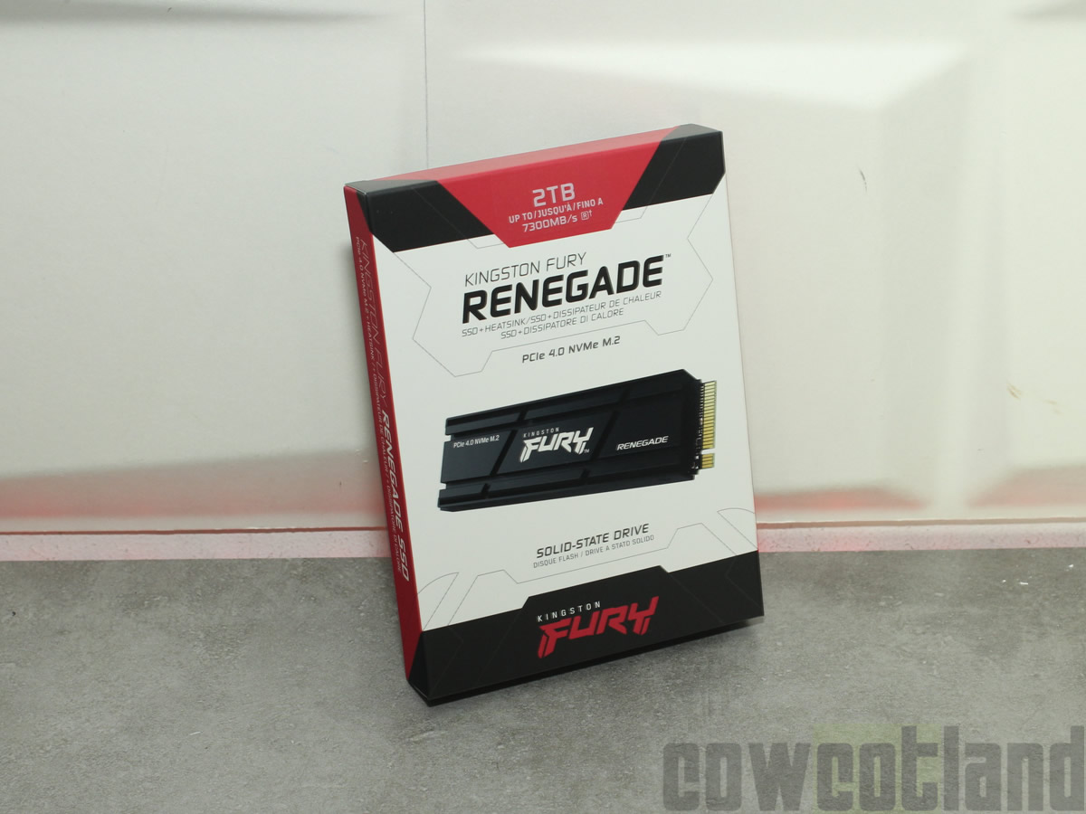 Image 54295, galerie Test SSD Kingston Fury Renegade : 2 To  7300 Mo/sec