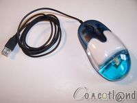 Cliquez pour agrandir Souris Mad-X Dauphin