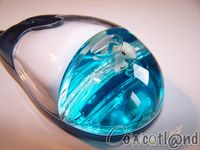 Cliquez pour agrandir Souris Mad-X Dauphin