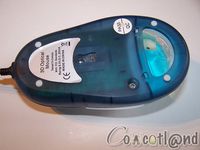 Cliquez pour agrandir Souris Mad-X Dauphin