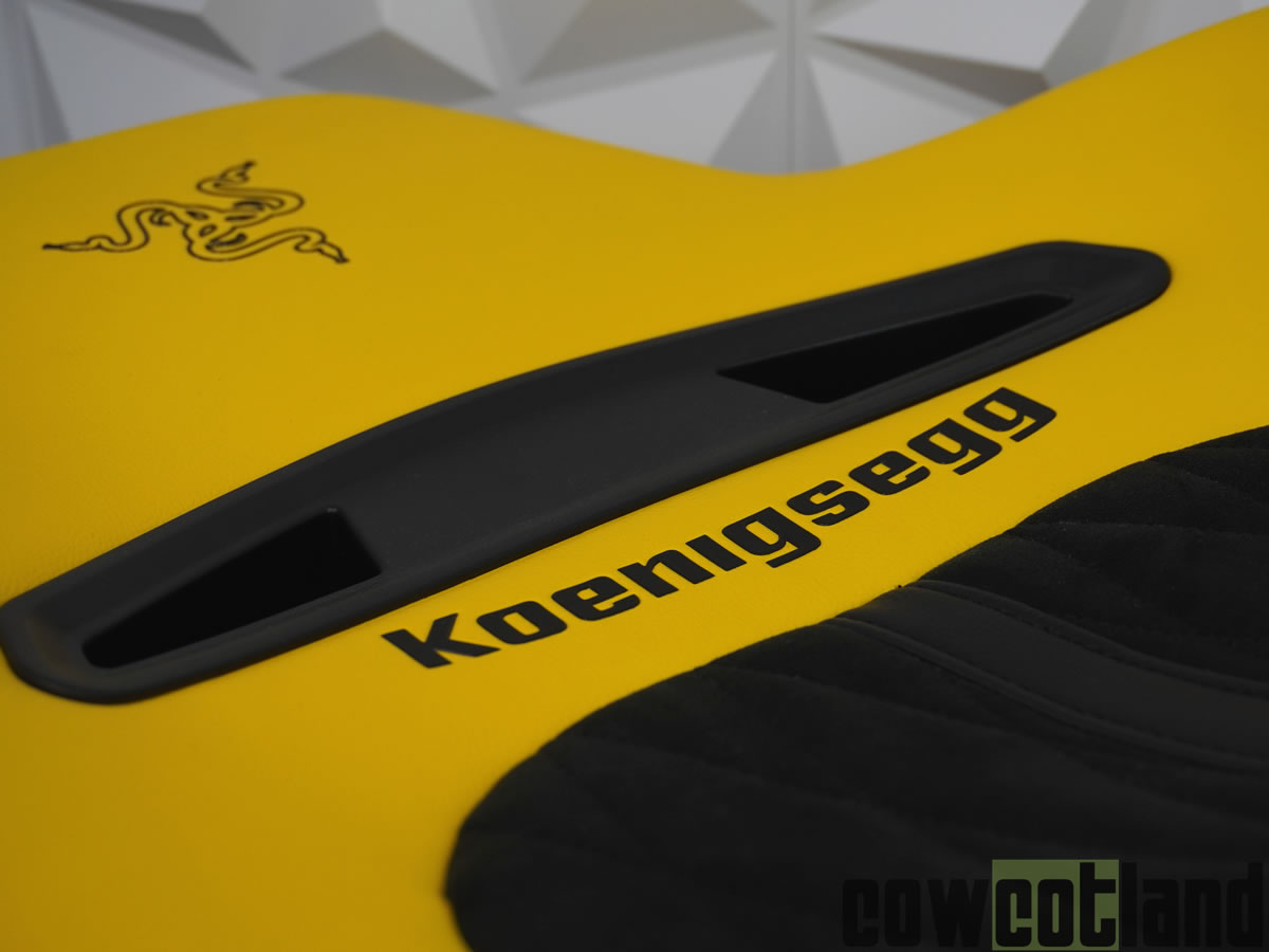 Image 50978, galerie Sige Razer Enki Pro Koenigsegg Edition, +10 en vitesse !
