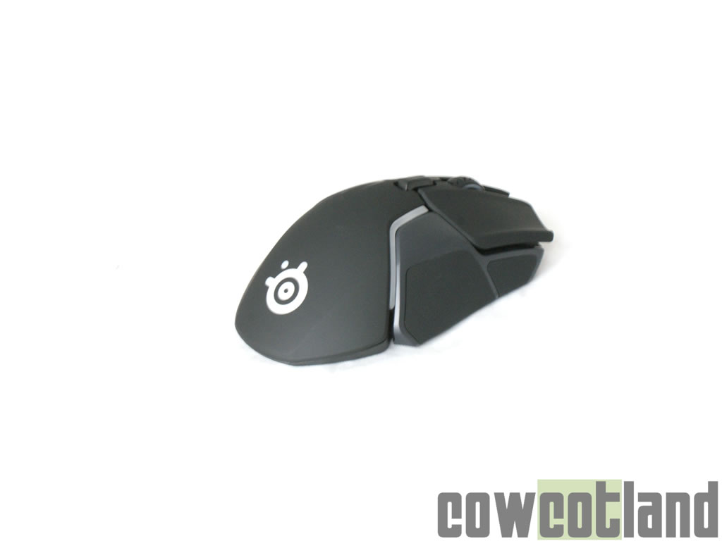 Image 36109, galerie Souris SteelSeries Rival 600