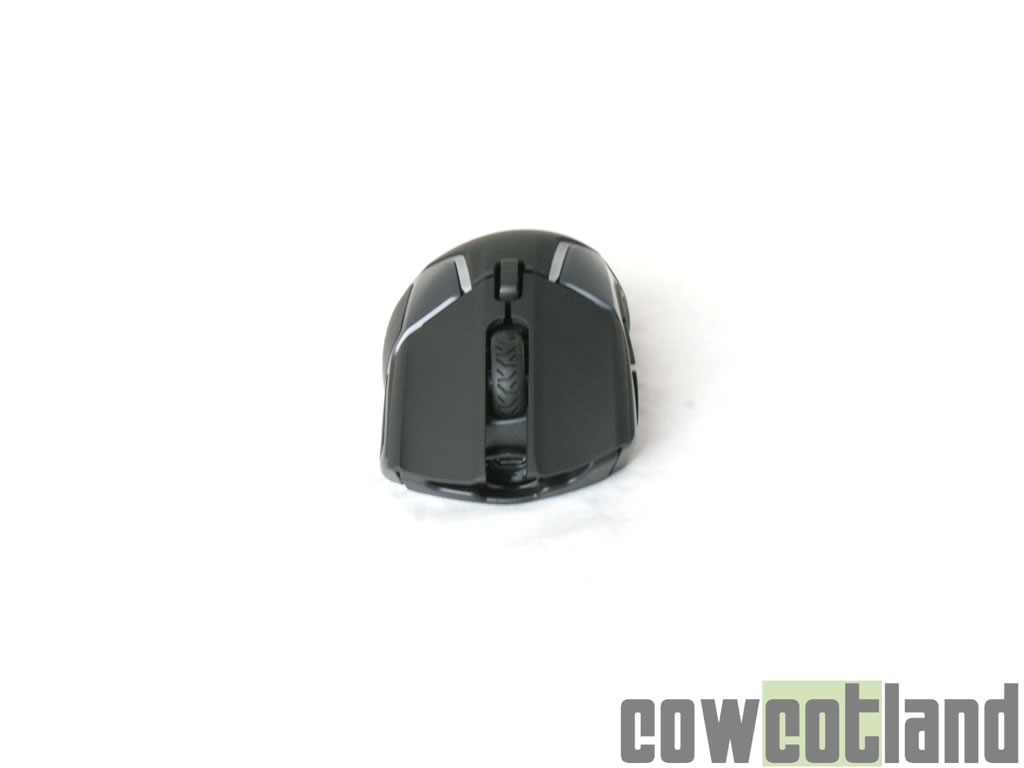 Image 36099, galerie Souris SteelSeries Rival 600