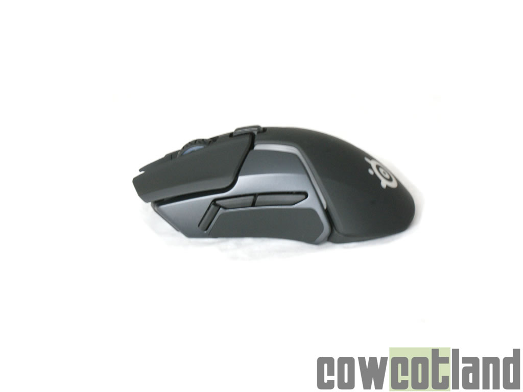 Image 36092, galerie Souris SteelSeries Rival 600